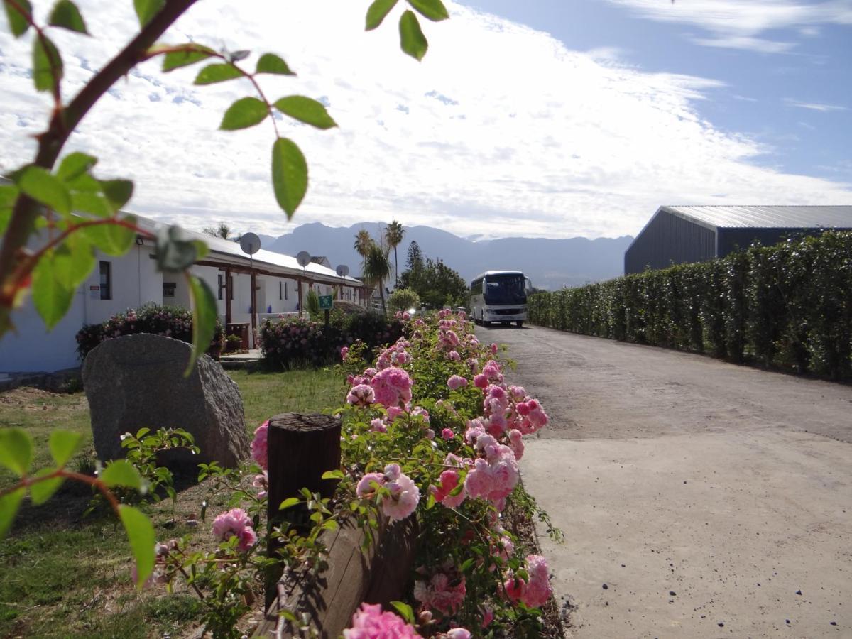 Middelplaas Paarl Guesthouse Zewnętrze zdjęcie