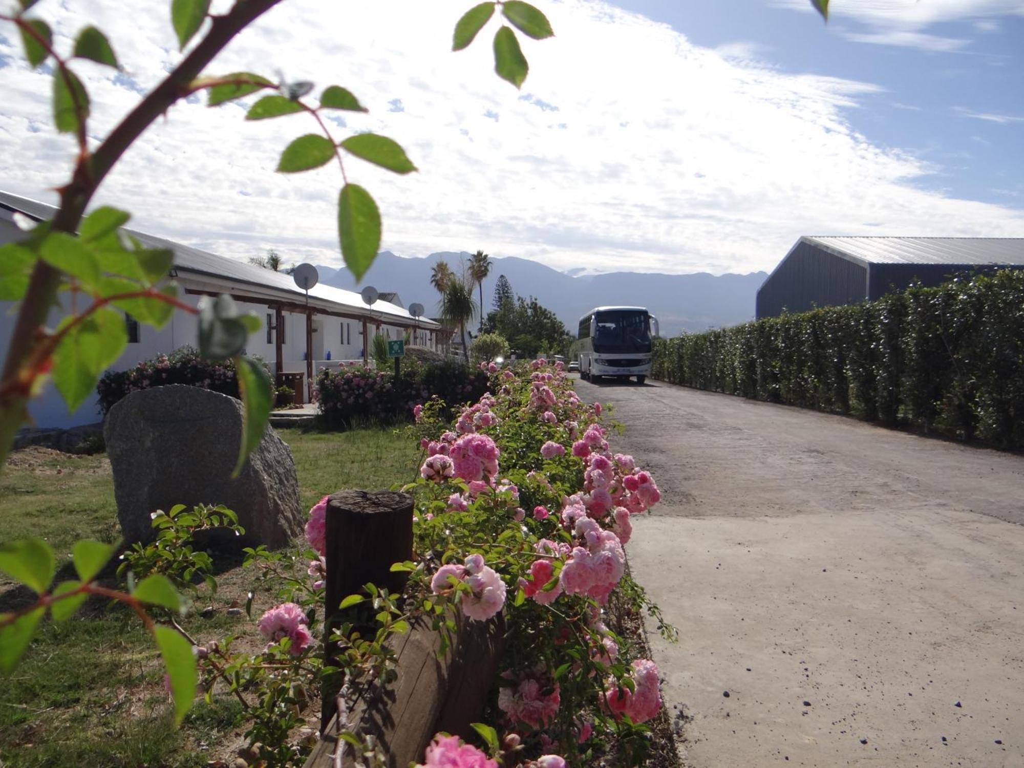 Middelplaas Paarl Guesthouse Zewnętrze zdjęcie