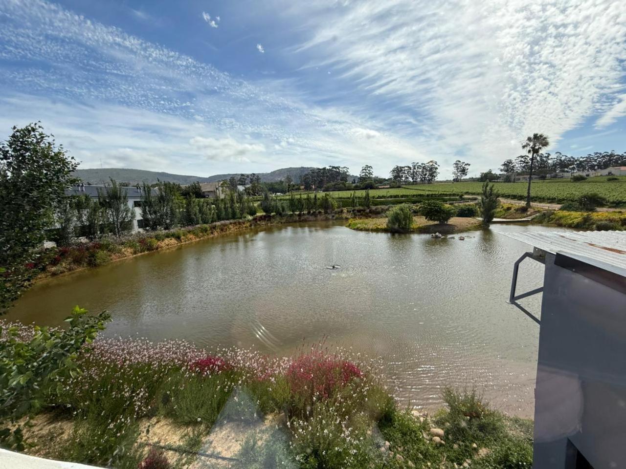 Middelplaas Paarl Guesthouse Zewnętrze zdjęcie