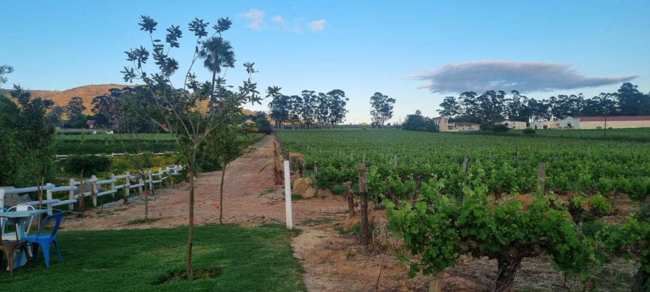 Middelplaas Paarl Guesthouse Zewnętrze zdjęcie