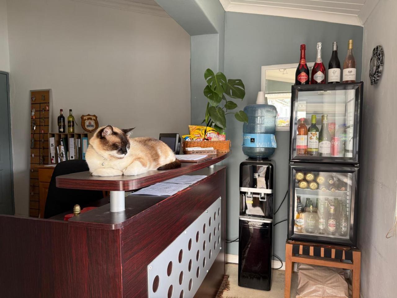 Middelplaas Paarl Guesthouse Zewnętrze zdjęcie